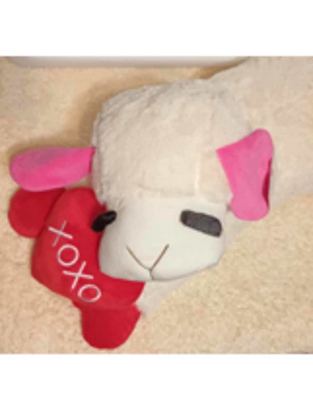 NWT~ Multipet's Jumbo Valentines Plush Lamb Chop Dog Toy w/ Red 3-D Heart "XOXO" - Picture 9 of 12